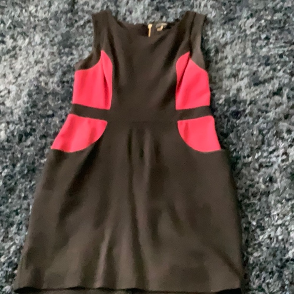 Stylish Tart dress